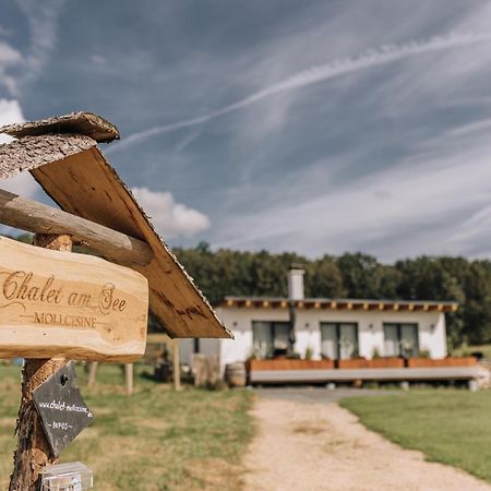 Chalet Am Mollcesine Oderwitz Eksteriør bilde